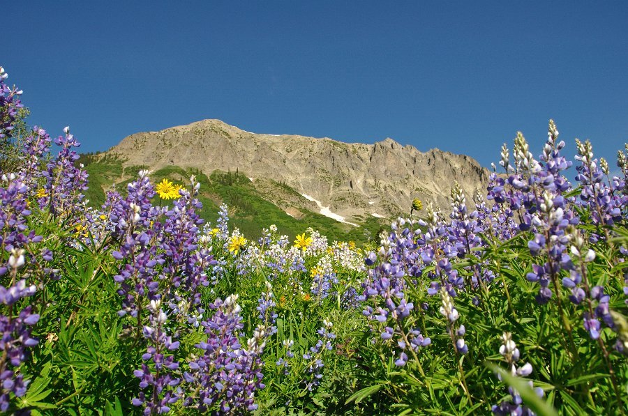 Crested_Butte_033