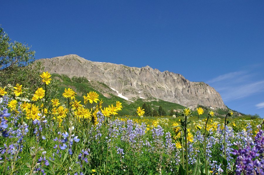 Crested_Butte_034
