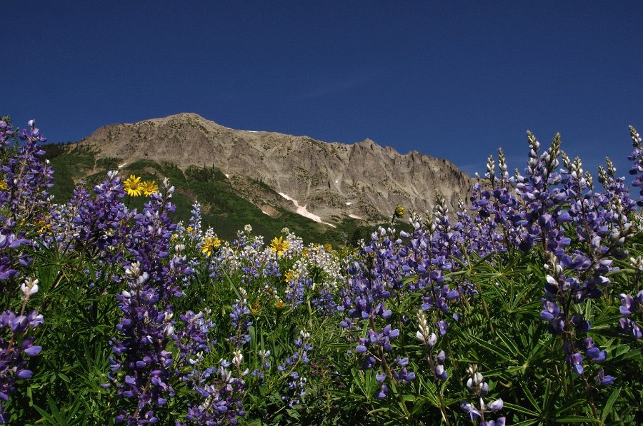 Crested_Butte_054