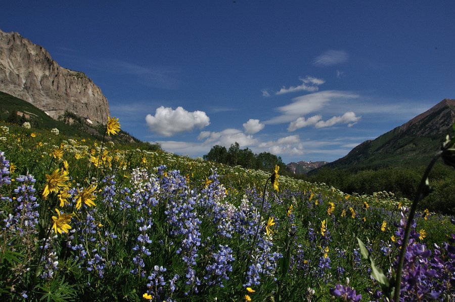 Crested_Butte_057