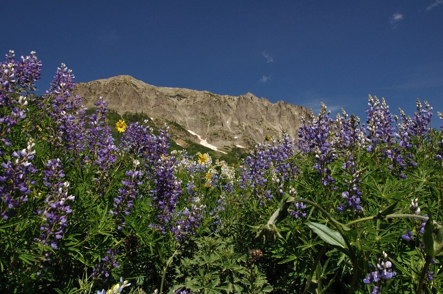 Crested_Butte_064