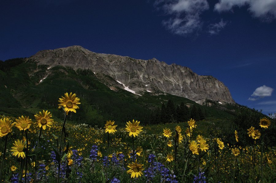 Crested_Butte_073